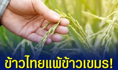 สมาพันธ์ข้าวกัมพูชาแก้มปริ ข้าวหอมมะลิ ‘ผกาลำดวน’ คว้าตำแหน่งข้าวดีที่สุดในโลกสมัยที่ 5