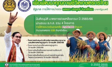 รัฐมอบ ธ.ก.ส. จ่ายเงินช่วยเหลือและยกระดับรายได้เกษตรกรผู้ปลูกข้าวผ่าน 4 โครงการ วงเงินรวมกว่า 8 หมื่นล้านบาท