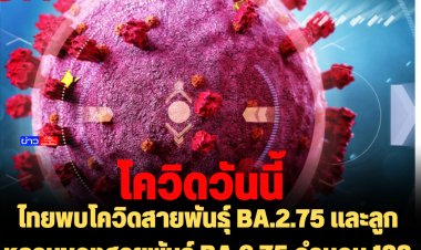 ไทยพบโควิดสายพันธุ์ BA.2.75 และลูกหลานของสายพันธุ์ BA.2.75 จำนวน 138 ราย -BQ.1  จำนวน 9 ราย- XBB  13 ราย