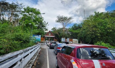 หนุ่มใหญ่ซิ่งเก๋งพุ่งชนช้างป่าเขาใหญ่ขณะข้ามถนนบาดเจ็บอ้างสายตาไม่ดี-ถนนมืดมองไม่เห็น