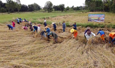 ธ.ก.ส. โคราชดีเดย์ 26 พ.ย.โอนเงินช่วยเหลือชาวนากว่า 5,000 ล้านบาท