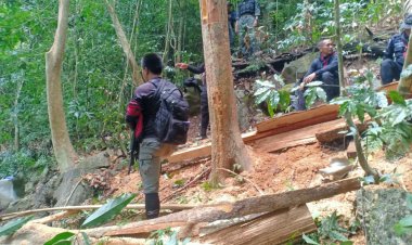 ยะลาลุยกวาดล้างมอดไม้เดินหน้าตัดไม้ บนยอดเขาตะโล๊ะเว ต้นน้ำแม่น้ำปัตตานี