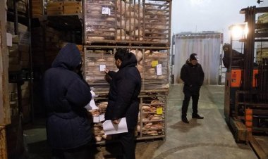 ห้องเย็นสายดาร์ก ... จุดพำนัก “หมูเถื่อน”