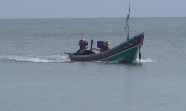 “ปูม้า”ราคาแพง กก.ละ 350 บาท ประมงพื้นบ้านเรืออวนปูย่อมเสี่ยงชีวิตฝ่าคลื่นทะเลแรงจับขาย