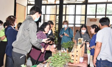 วช. ผลักดันผลงานวิจัย “จิงจูฉ่าย สุดยอดผักสมุนไพรเพื่อสุขภาพ” ของจังหวัดเชียงรายเพื่อผู้สูงอายุ