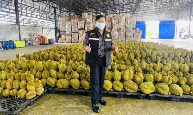 “อลงกรณ์”โต้”สนธิ ลิ้ม” ประกาศชัดไม่ยอมให้ใครผูกขาดทุเรียนไทย