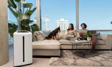 รับมือฝุ่น PM2.5 และเชื้อโรคหน้าหนาว ปัจจัยเสี่ยงภูมิแพ้แนะนำใช้เครื่องกรองอากาศ ดูแลอากาศให้สะอาดยิ่งขึ้น