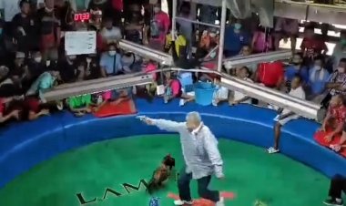 ตำรวจตามรวบแล้วมือยิงอุกอาจกลางสนามไก่ชนเมืองปทุมธานีดับ 1 ศพ