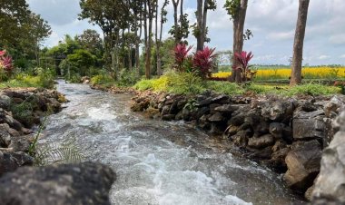 ตากลุยพัฒนาและยกระดับการท่องเที่ยวเกษตรอินทรีย์เชิงสุขภาพ อ.พบพร