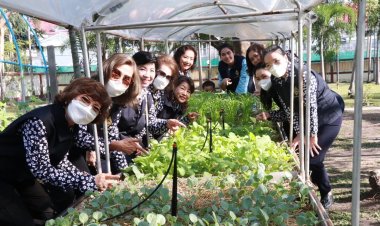 ผู้นำต้องทำก่อน !! ผู้ว่าฯชลบุรี นำปลูกผักสวนครัว เพื่อสร้างความมั่นคงทางอาหาร