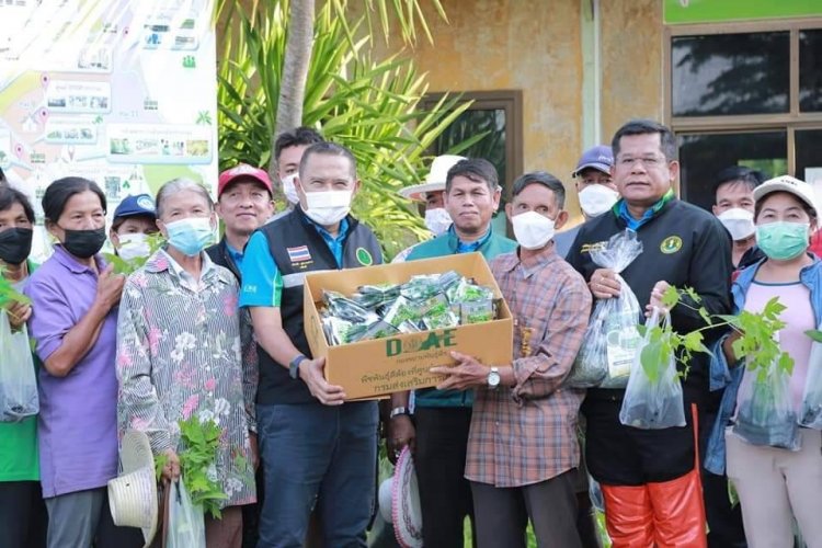 กรมส่งเสริมการเกษตรเร่งจัดชุดพืชพันธุ์ดี ชีวภัณฑ์ พร้อมช่วยเหลือเกษตรกรหลังน้ำลดทันที ครอบคลุมทุกพื้นที่ประสบภัย