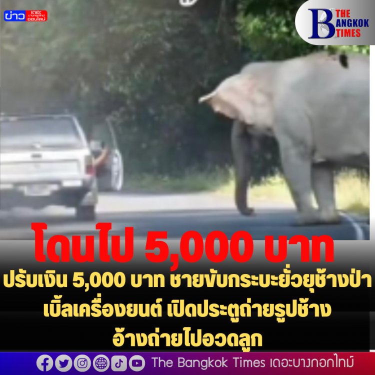 ปรับเงิน 5,000 บาท ชายขับกระบะยั่วยุช้างป่า เบิ้ลเครื่องยนต์ เปิดประตูถ่ายรูปช้าง  อ้างถ่ายไปอวดลูก