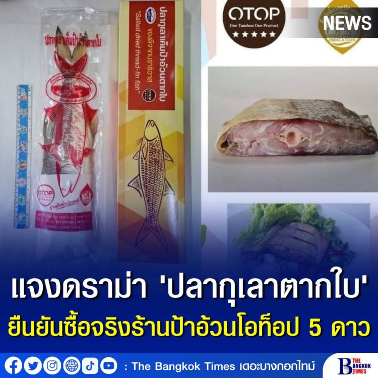 รัชดา' แจงดราม่า 'ปลากุเลาตากใบ' ยืนยันซื้อจริงร้านป้าอ้วนโอท็อป 5 ดาว ตอนนี้ขายดีสุดๆ