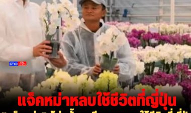 "แจ็คหม่า" ผู้ก่อตั้งอาลีบาบา หลบใช้ชีวิตที่ญี่ปุ่น หลังรัฐบาลจีนกวาดล้างธุรกิจเทคโนโลยี