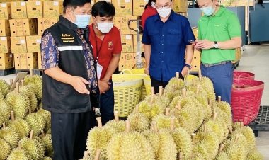 "อลงกรณ์”ชงฟรุ้ทบอร์ดเห็นชอบโครงการจัดตั้ง"มหานครผลไม้-กองทุนผลไม้แห่งชาติ”