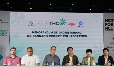 GUNKUL ส่ง THCG เซ็น MOU Kanha Mojo Virtue และ Carrot ลุยแปรรูปกัญชง-กัญชา  รองรับตลาดด้านการแพทย์ ที่ส่งสัญญาณเติบโต
