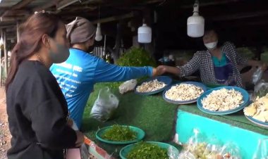 บุกตลาดชุมชนชัยภูมิหน้าหนาวซื้อไข่ผากหรือไข่มดแดงขนาดเล็กโลละ350บาท ทำอาหารเลิศรส