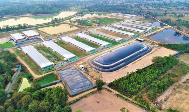 CPF ชูความสำเร็จ 21 ปี ระบบ "ไบโอแก๊ส" Best Practice หนุนปศุสัตว์รักษ์โลก ตามแนวทาง BCG  Model