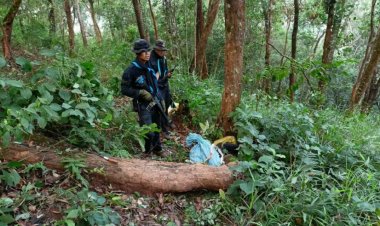 ทหารผาเมืองปะทะเดือดขบวนขนยาเสพติดวิสามัญ 15 ศพ ยึดของกลางไอซ์บิ๊กล็อต