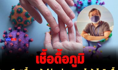 "หมอธีระ" ชี้สายพันธุ์ย่อยต่างๆของไวรัสโควิด ดื้อภูมิ แนะป้องกันตัวเองเสมอ ฉีดวัคซีนเข็มกระตุ้น