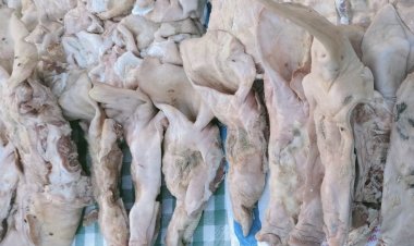นักวิชาการ ย้ำ “หมูเถื่อน” ตัวการทำลายห่วงโซ่อุปทาน ความมั่นคงทางอาหารของไทย