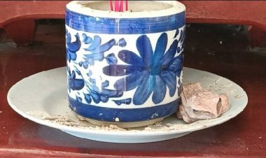 เรื่องแปลกแต่เป็นความจริง!เขียดเผือกมานอนทุกวันโกนวันพระ