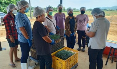 CPF รุกพัฒนาศักยภาพคู่ค้า SME ยกระดับคุณภาพและความปลอดภัยอาหารสู่มาตรฐานสากล