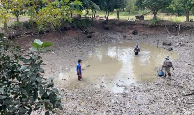 ชาวขอนแก่นเร่งสูบน้ำออกจากบ่อลงนาทำนาปรัง-จับปลาย่างสดเลี้ยงแขก