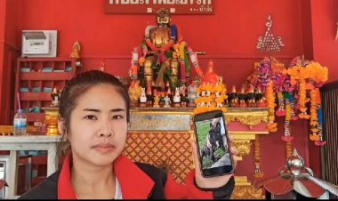 สาวตามหาเฌอบัส!!สุนัขตัวโปรดหายออกจากบ้าน 4 วันตั้งรางวัล 5 พันผู้แจ้งเบาะแส