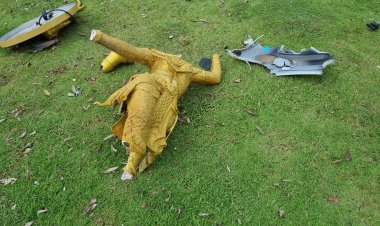 ระทึก!รถพุ่งชนเสาไฟฟ้า“มโนราห์”เกาะกลางเมืองหาดใหญ่ล้ม  2 ต้น ค่าเสียหายต้นละ 9 หมื่นบาท