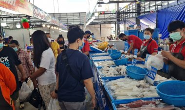 คนอีสานผวา!สสจ.โคราช เผยผลสุ่มตรวจอาหารทะเลพบปนเปื้อนฟอร์มาลิน 70 จาก 459 ตัวอย่าง