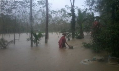 ฝนถล่มพัทลุงท่วมฉับพลันแล้ว 7 อำเภอ- “ด่านโลด” หนักในรอบ 20 ปี สูงถึง 1.50 เมตร