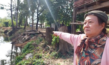 พายุลมหนาวพัดกระหน่ำทั้งวันทั้งคืนโค่นต้นยางนาอายุกว่า 100 ปี 2 ต้นล้มหวิดทับบ้านเรือนเฉียดเส้นยาแดง