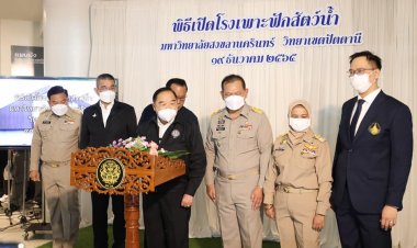 'พล.อ.ประวิตร’ล่องใต้ ประชุม กพต. ตามขับเคลื่อนเศรษฐกิจปากท้องชาวบ้าน 3 จชต. ย้ำเสริมภาคประชาสังคมเข้มแข็ง รับฟังปัญหาและพัฒนาไปด้วยกัน