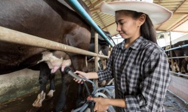 ปลด “นม” พ้นสินค้าควบคุม ช่วยเกษตรกรรอดขาดทุน