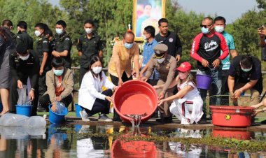พสกนิกรชาวอำเภอขุนหาญพร้อมใจปล่อยปลาเพื่อถวายพระพรแด่ "พระองค์ภา"