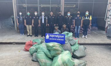 กรมศุลกากรยึดเนื้อสุกรลักลอบเข้าประเทศตามแนวชายแดนไทย - กัมพูชา