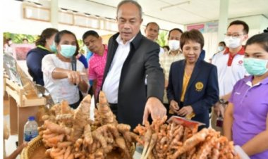 พาณิชย์!ลงพื้นที่สุราษฎร์ธานี เล็งผลักดัน“ขมิ้นชัน” เป็นSuperfood รับกระแสคนรักสุขภาพ!!