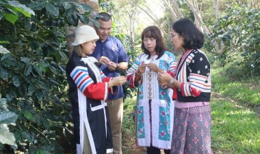 “ผอ.หน่อง”-พาณิชย์ตาก  ร่วม ปชส. กาแฟอาราบิกาดอยมูเซอ และเชื่อมโยงการท่องเที่ยว เมืองตาก