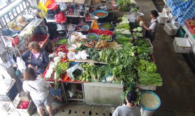 เมืองเบตงอากาศเย็นพืชผักไม่ออกผลผลิตทำให้ปรับราคาขึ้นรับเทศกาลปีใหม่