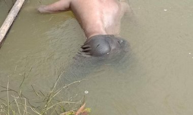 พบศพหนุ่มนิรนามดับปริศนามลอยน้ำอยู่ในแม่น้ำสายบุรีที่อำเภอจะแนะ