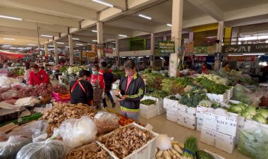 อากาศหนาวผลผลิตออกน้อยดันผักแพงรับปีใหม่ คะน้าพุ่ง 220 บาท-กวางตุ้ง  200 บาท /กก.