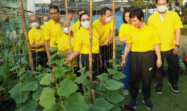 "อรัญญา"นายกท.ต.แพรกษาหนุนปลูกผักสวนครัวลดรายจ่าย-สร้างความมั่นคงทางอาหาร