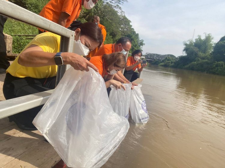 ปราจีนบุรี ปล่อยพันธุ์ปลาเฉลิมพระเกียรติ วันพ่อ 15,000 ตัวบริเวณคลองห้วยไคร้(คลองนางลิง)