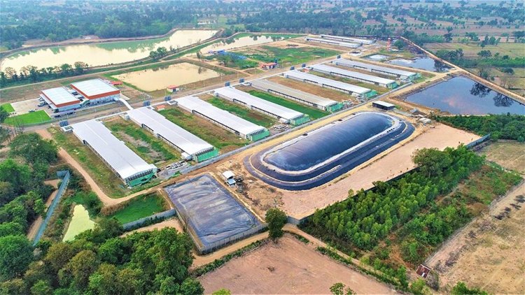 CPF ชูความสำเร็จ 21 ปี ระบบ "ไบโอแก๊ส" Best Practice หนุนปศุสัตว์รักษ์โลก ตามแนวทาง BCG Model
