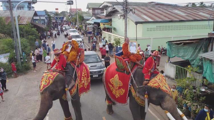 สีสันแห่ช้างงานบุญฉลองอัฐิสุดอลังการแถมขบวนแห่กลองยาวเต้นหน้าเจดีย์บรรจุอัฐิสุดมัน