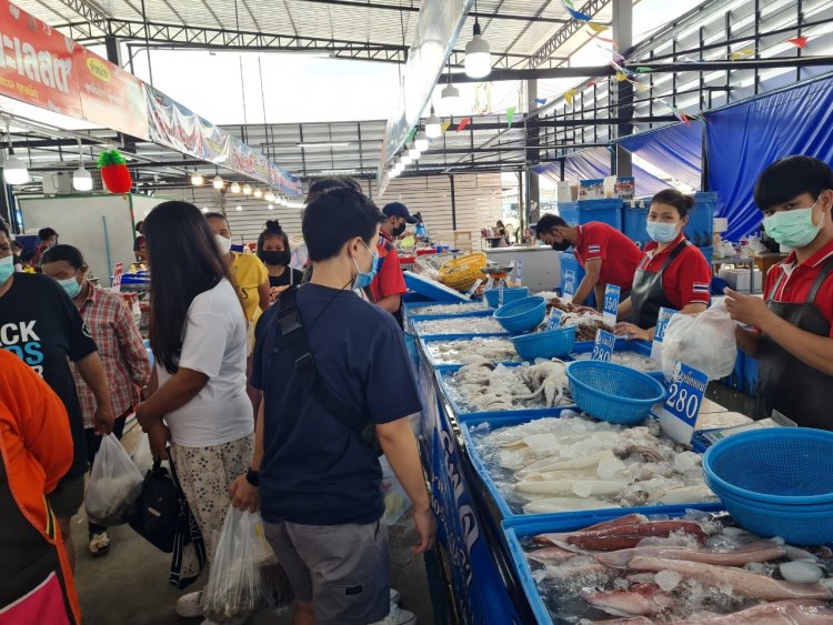 คนอีสานผวา!สสจ.โคราช เผยผลสุ่มตรวจอาหารทะเลพบปนเปื้อนฟอร์มาลิน 70 จาก 459 ตัวอย่าง