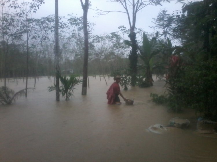 ฝนถล่มพัทลุงท่วมฉับพลันแล้ว 7 อำเภอ- “ด่านโลด” หนักในรอบ 20 ปี สูงถึง 1.50 เมตร