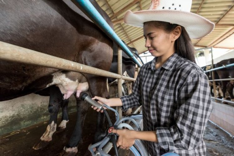 ปลด “นม” พ้นสินค้าควบคุม ช่วยเกษตรกรรอดขาดทุน