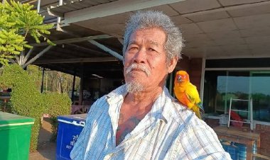 ฮือฮาต้อนรับปีกระต่าย!นกแก้วแสนรู้ชอบผู้ชายแต่ไม่ชอบสาวแก่แม่หม้าย